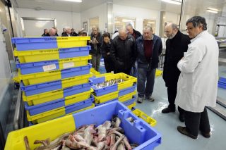 Lorient. Morbihan. Visite au port de pêche de Mgr Raymond Centène, Évêque de Vannes, aux heures matinales d'activité . Avec l'association catholique "Les hommes et la mer", animée par le père Jean Le Berrigaud, aumonier des gens de mer . Ici chez Le Chat Marée, avec Dominique Le Chat .