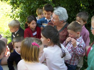 éducation des enfants