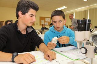 école catholique