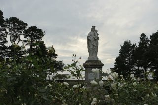IMG_2752